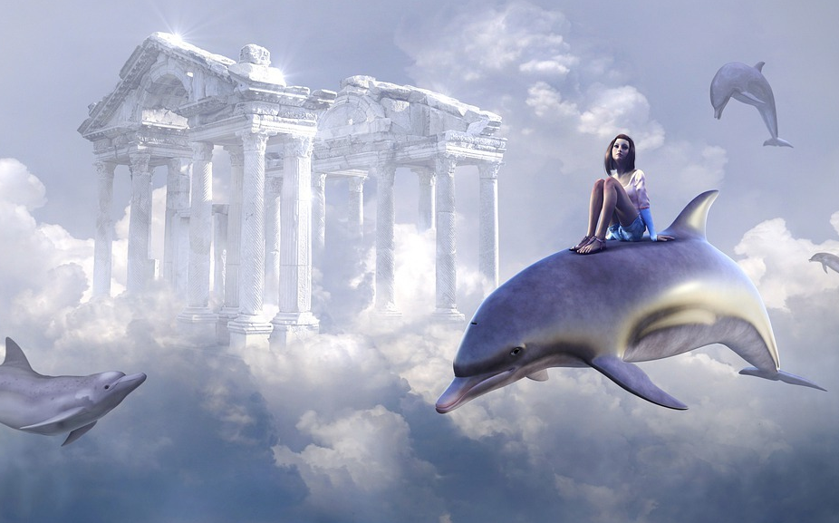 Im Auge des Delphins